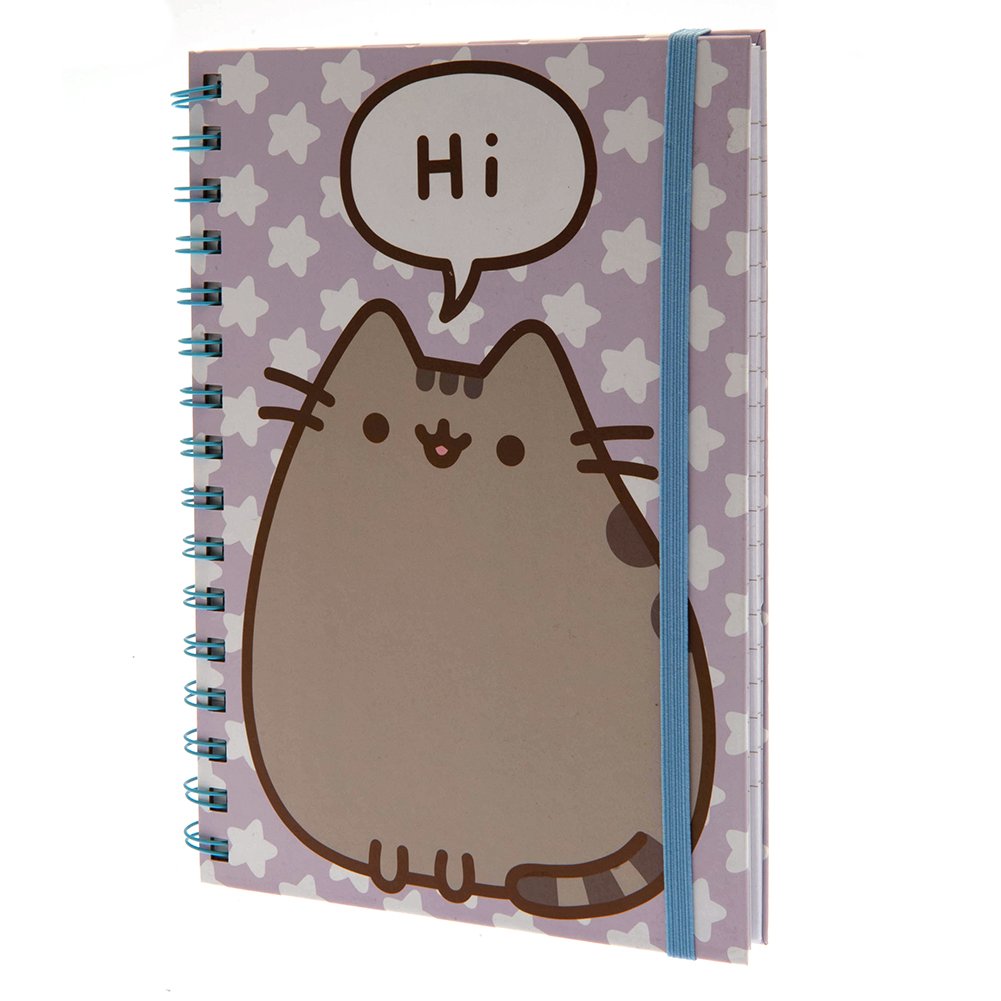Carnet Pusheen Hi
